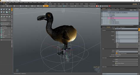 Dodo Reconstruction on Behance