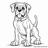 Boxer Dogs Coloring Pages  Free & Printable sketch template