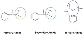 Amides | Functional Group, Types of Amides and Structure