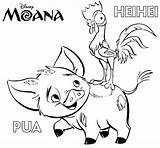 Moana Coloring Heihei Roosters Silhouette Imagensparacolorir Disegni  sketch template