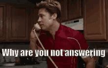 Answer The Phone GIFs | Tenor