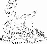 Fawn Stock Illustration  Download Image Now Coloring Book Page sketch template