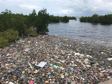 ABS-CBN News - Dagat o dagat ng basura? Imbes na tubig,...