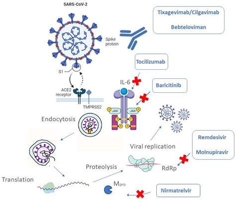 Accelerating Antiviral Drug Discovery: Lessons From, 44% OFF