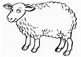 Free Printable Sheep Coloring Pages For Kids sketch template