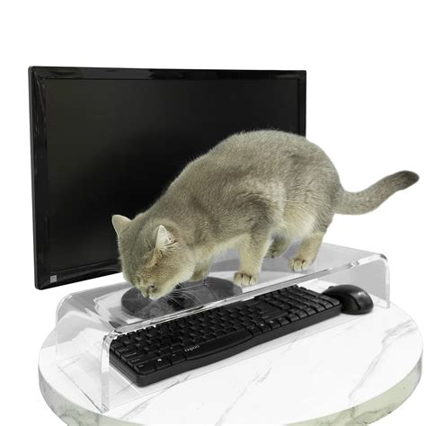 Buy Keyboard Cover Anti-Cat, Clear Plexiglass Keyboard Protector ...