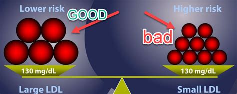 Heart attack lab Assessment of your risk of a heart attack! | NMR LipoProfile® With Lipids