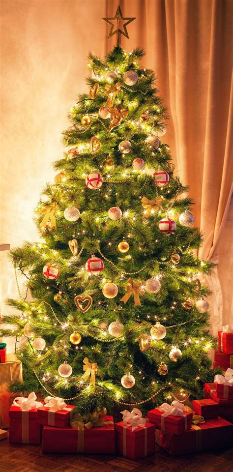 Christmas tree | Tradition, History, Decorations, Symbolism, & Facts | Britannica