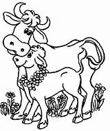 Indian Cow And Her Baby Coloring Page  Kids Play Color ClipArt sketch template