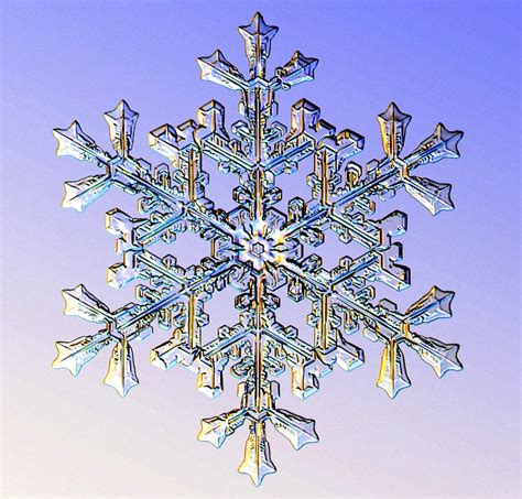 I Am A Snowflake – Metaphorical Web – Medium