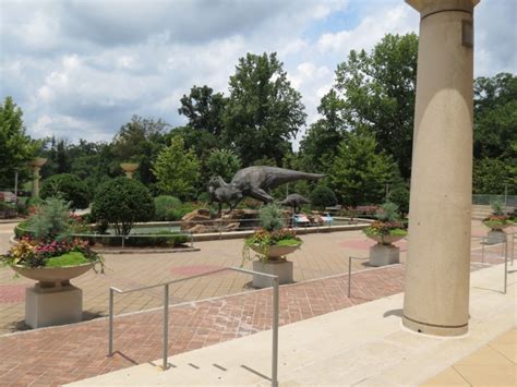 My Day Off: Fernbank Natural History Museum / Gail Garber Designs