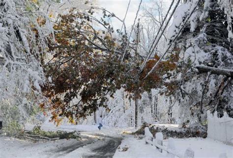 Rare October 2011 Snow Storm Leaves Millions in the Dark | Gevril Group | Watch Industry News