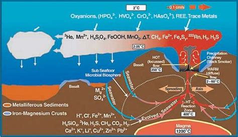 Deep sea vent - microbewiki