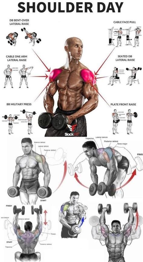 Best shoulder gym workout – Artofit