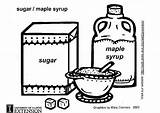 Canada Maple Syrup Coloring Page sketch template