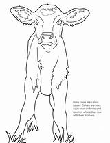 Roast Beef Coloring Coloring Pages sketch template