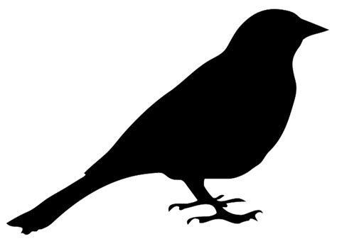 Bird Silhouette transparent PNG - StickPNG