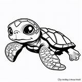 Cute Baby Turtle Dragoart Coloring Pages  Free & Printable sketch template