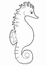 Caballito Zeepaardje Caballitos Seepferdchen Cavalluccio Kleurplaat  sketch template