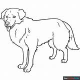 Free Printable Dog Coloring Pages For Kids sketch template