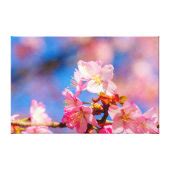 Pink Sakura Blossoms On A Sunny Day Of Spring Canvas Print | Zazzle
