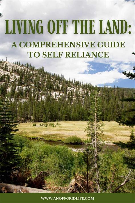 Living Off The Land: A Comprehensive Guide to Self Reliance - An Off ...