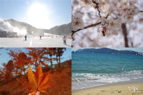 Korea for All Seasons: When is the Best Time to Visit Korea? | KoreabyMe