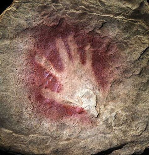 Manos en negativo | Cave paintings, Prehistoric cave paintings, Paleolithic art
