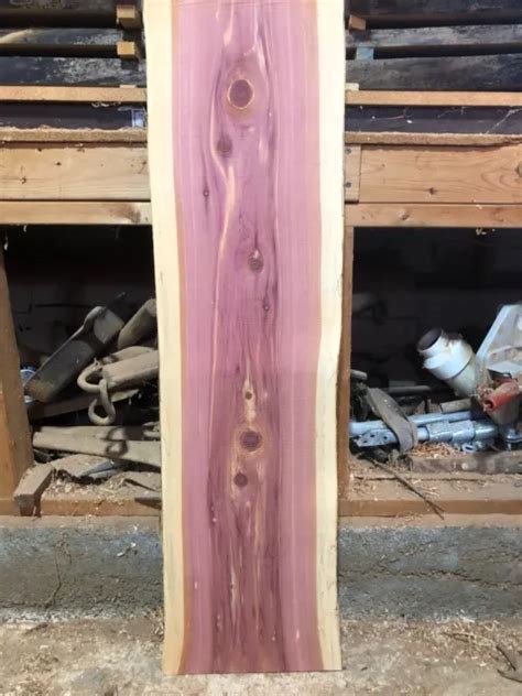 RUSTIC AROMATIC RED Cedar Slab / Live Edge Taxidermy Lumber /Craft Wood $25.00 - PicClick