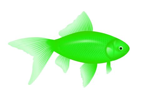 green fish PNG image