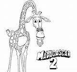 Melman Of Madagascar 3  Giraffe Coloring Pages sketch template