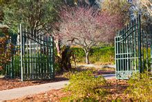 Garden Gates Entrance Free Stock Photo - Public Domain Pictures