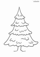Pine Tree Coloring Page sketch template