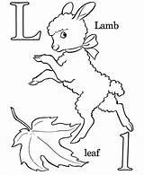 Free Lamb Coloring Sheet Download Png Images  sketch template
