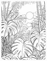 Tranquil Rainforest Canopy Coloring Pages For Natures Beauty sketch template