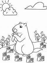 Exposed Groundhog Coloring Page  Free Printable Coloring Pages For Kids sketch template