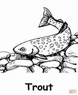 Trout coloring Page  Free Printable Coloring Pages sketch template