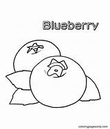 21  Blueberry Coloring Page AnjimAmritha sketch template