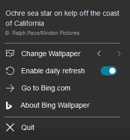 Bing Daily Wallpaper On Your PC - AdamFowlerIT.com