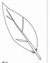 Turkey Feather Coloring Page  Home sketch template