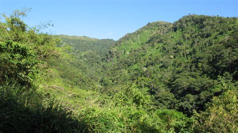 El Ávila National Park by the mountain near Caracas, Venezuela