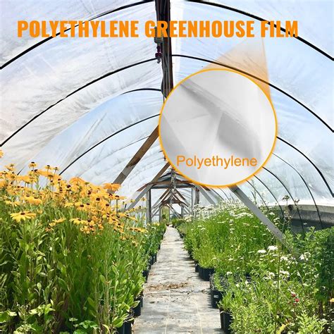 Clear Greenhouse Plastic: A Guide to Choosing the Right Material for Your Garden - VEVOR Blog