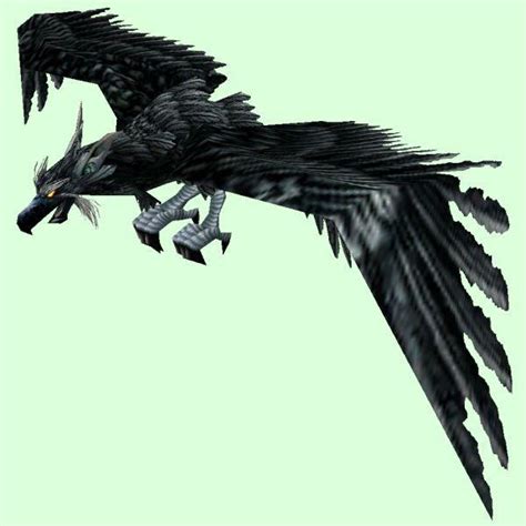 Black Hawk Bird Logo - LogoDix