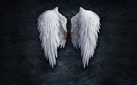 Anime Angel wings | PixelsTalk.Net