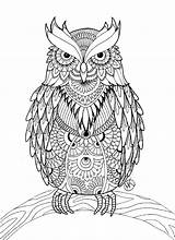 OWL Coloring Pages For Adults Free Detailed Owl sketch template