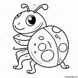 Cute Ladybug Coloring Page  Pagescom sketch template