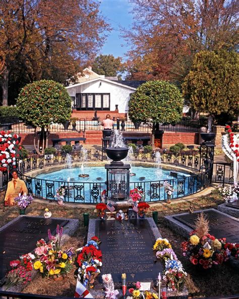 12 Day Trips From Memphis: Wildlife, Elvis Presley, And More