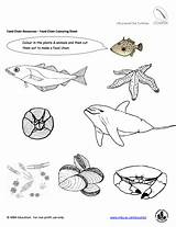Free Ocean Food Chain Colouring Sheet  Vrogueco sketch template