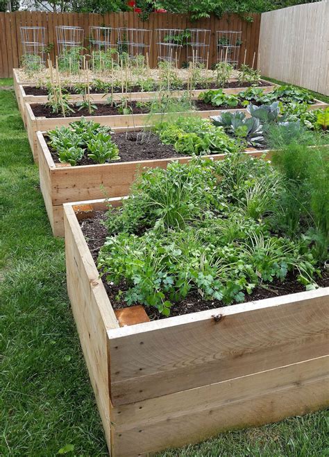 Luxury Garden Ideas Diy Vegetable | Garden planter boxes, Backyard ...