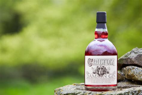 Award Winning Chilton Damson Gin | Chilton Liqueurs